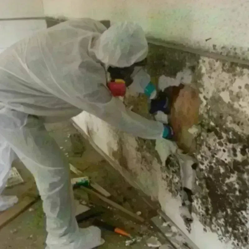 Mold Remediation and Removal in Grymes Hill, NY